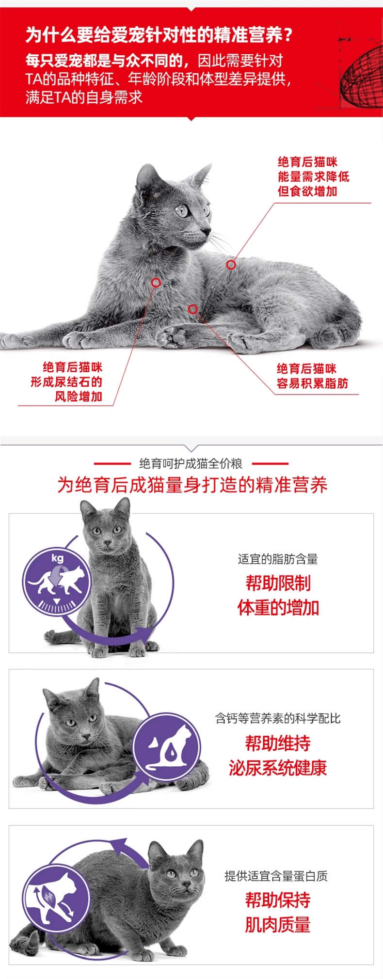 皇家绝育呵护成猫全价粮2kg