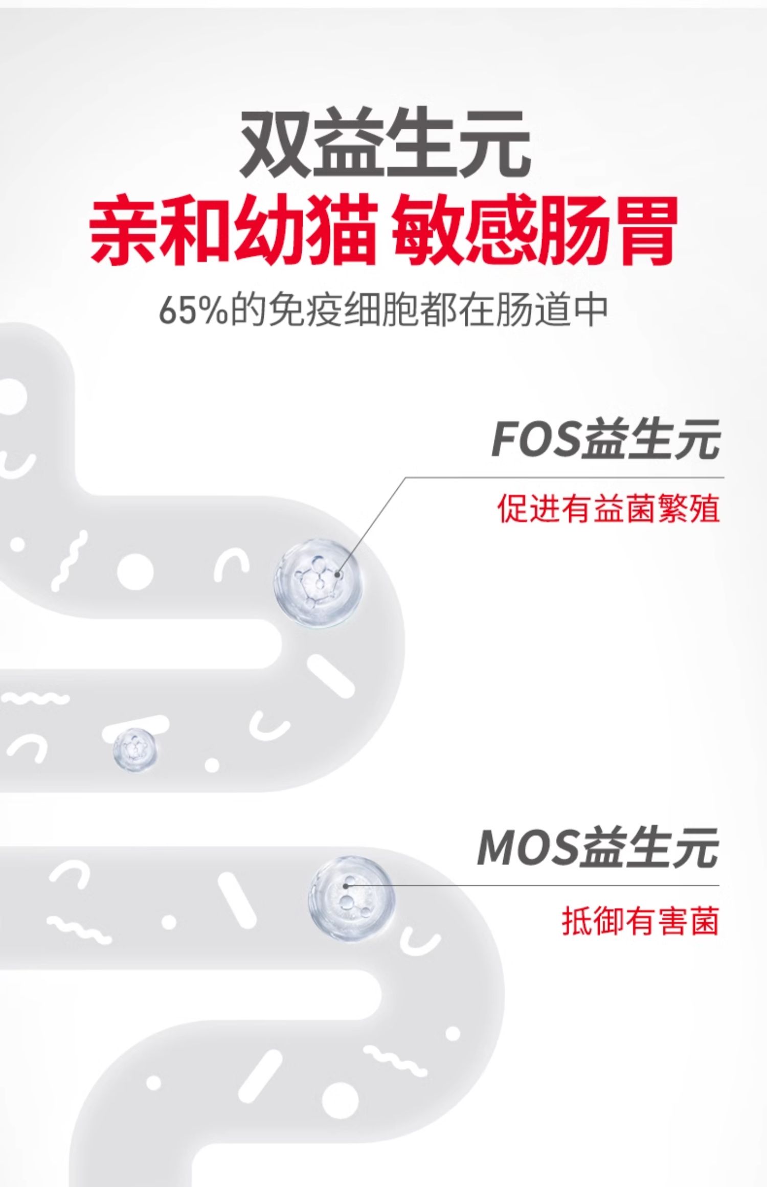 皇家猫粮 通用幼猫粮 奶糕粮 bk34/k36