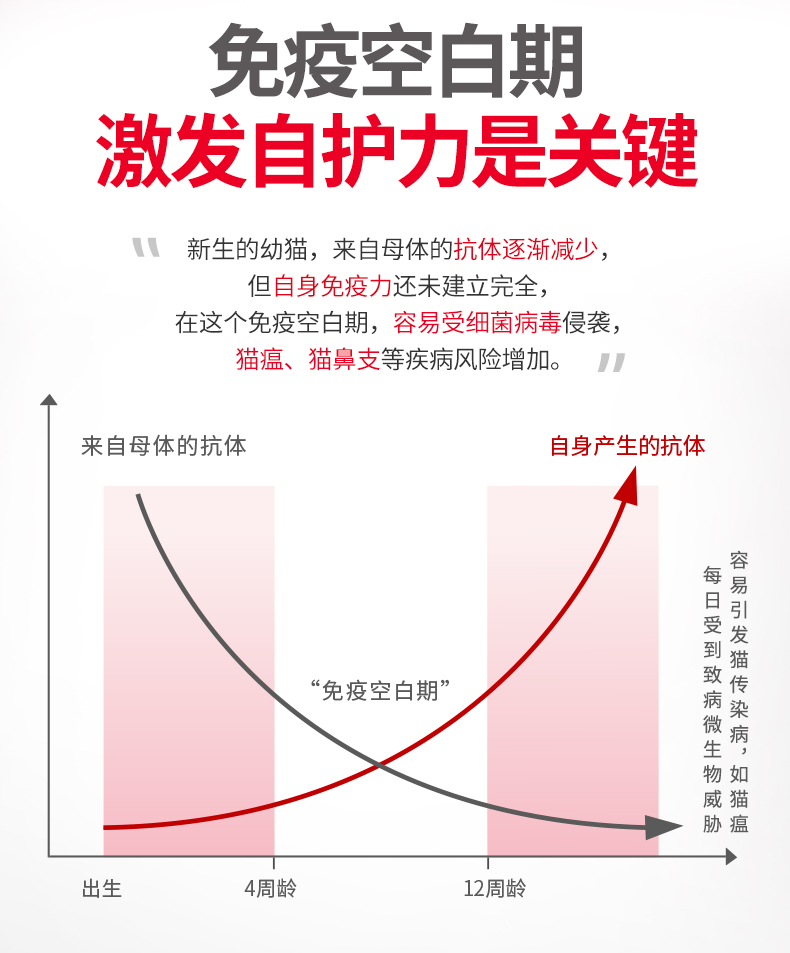 皇家猫粮 通用幼猫粮 奶糕粮 bk34/k36