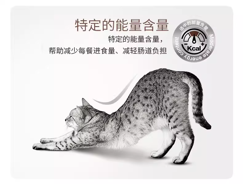 皇家成猫肠道处方粮1.5kg