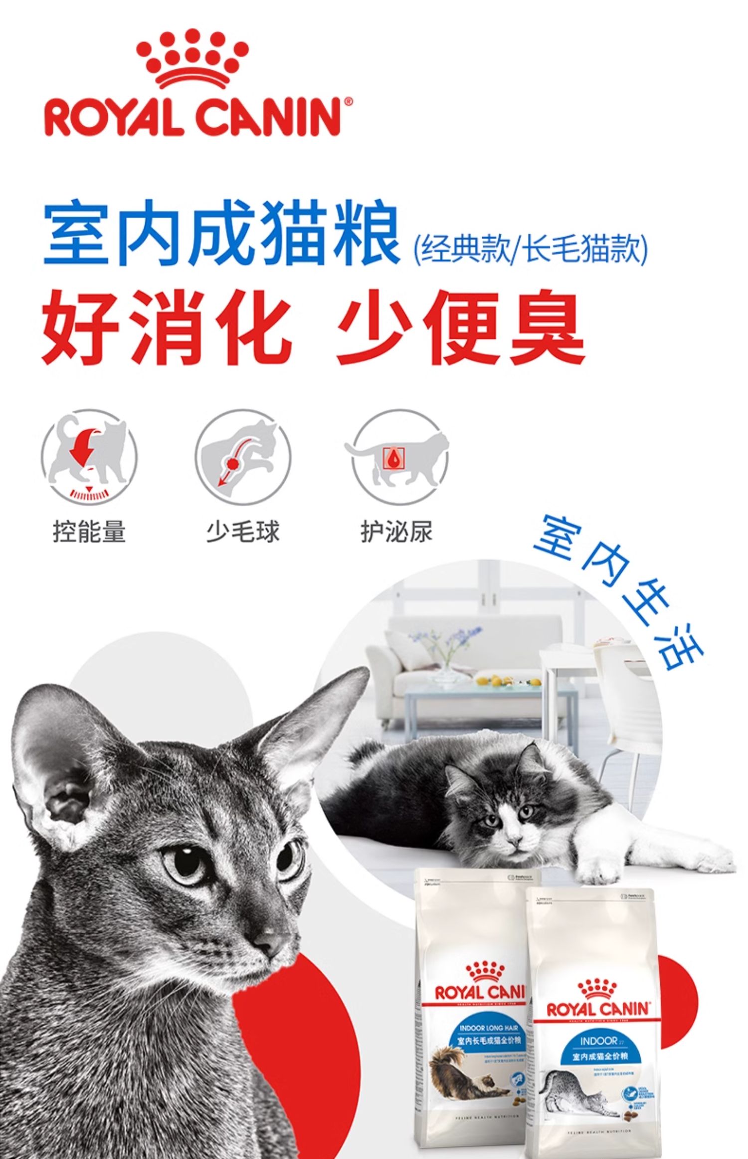 皇家猫粮室内成猫粮