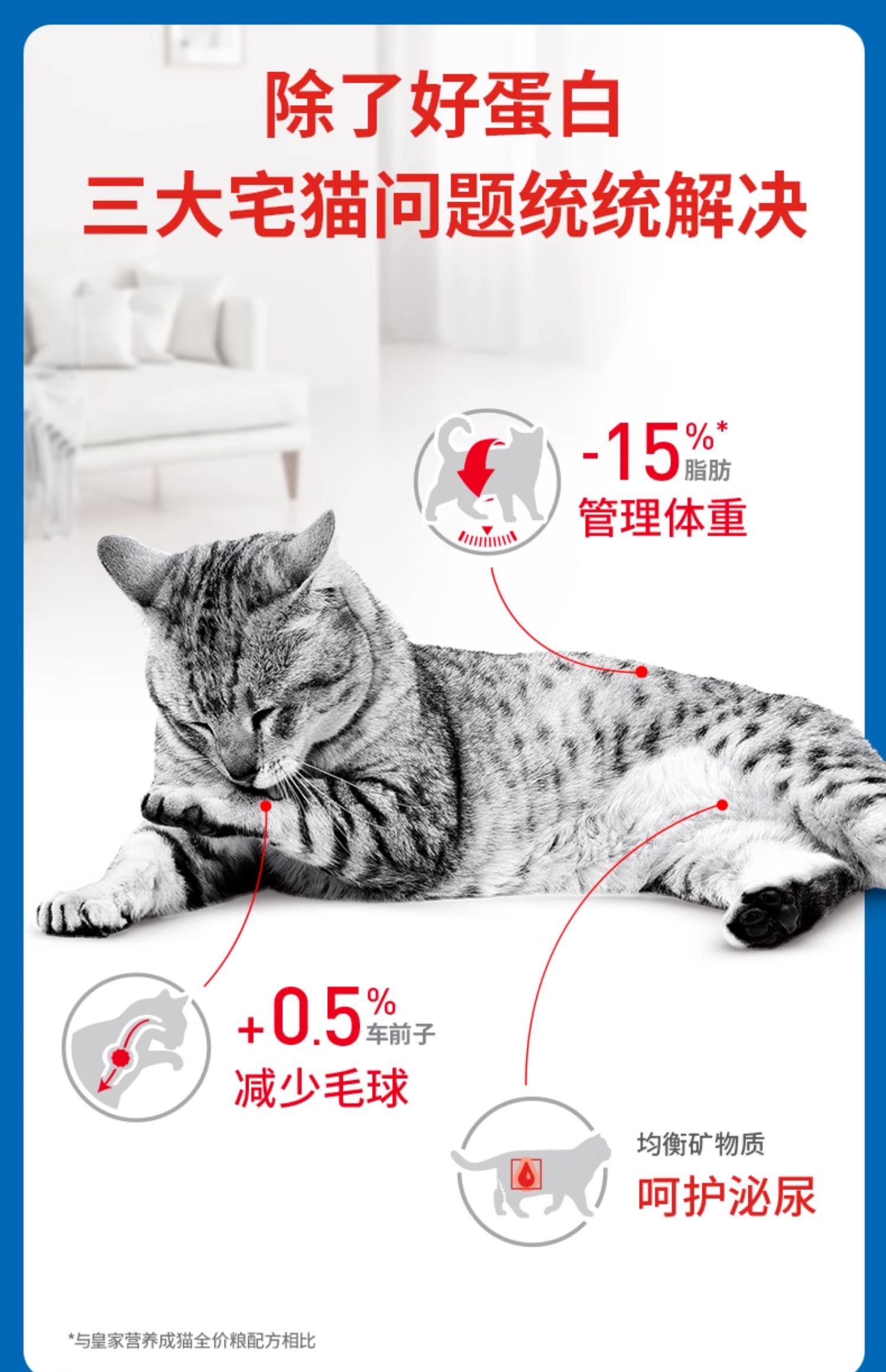 皇家猫粮室内成猫粮