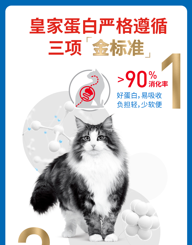 皇家猫粮室内成猫粮
