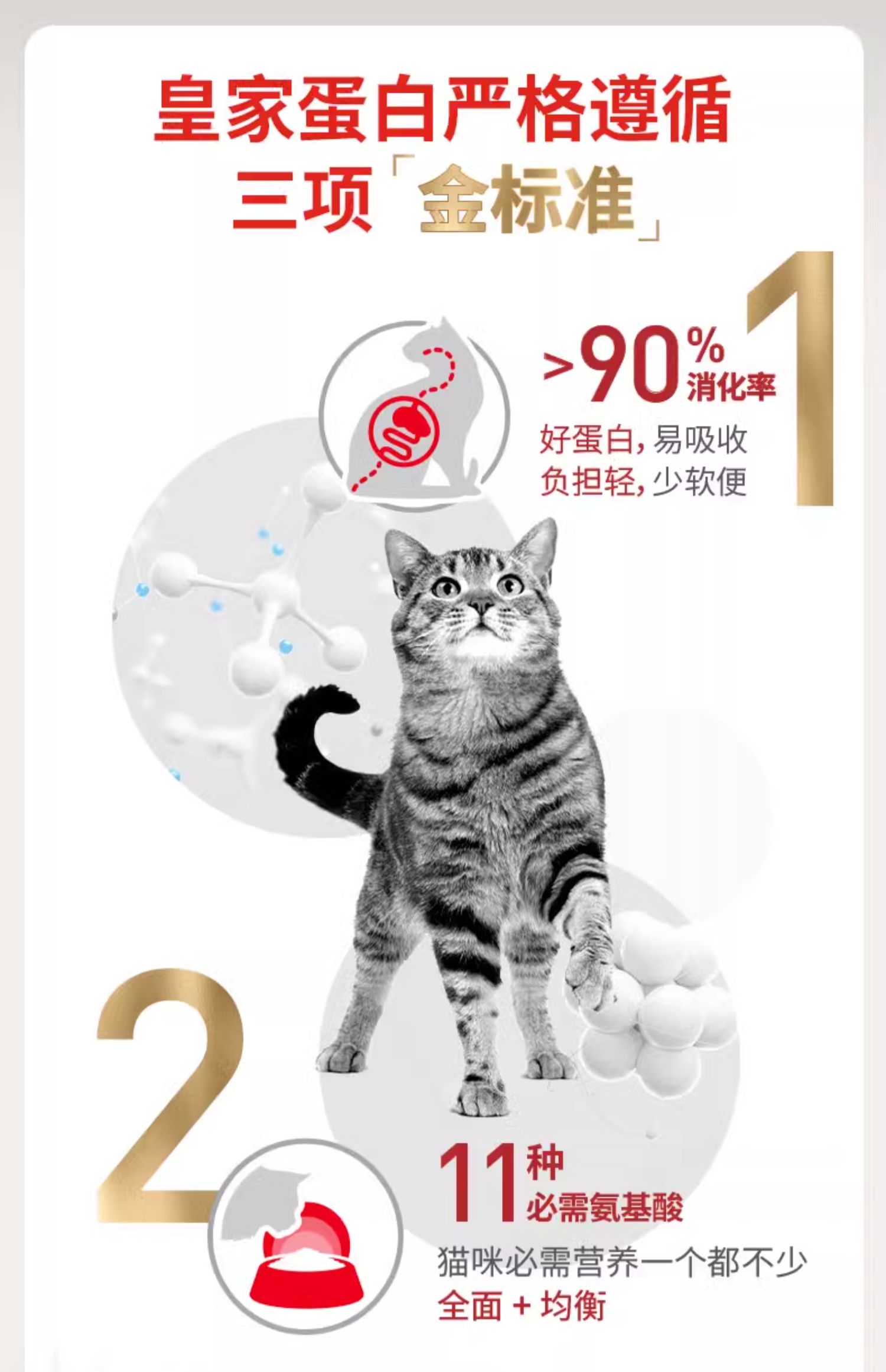 皇家营养成猫全价粮