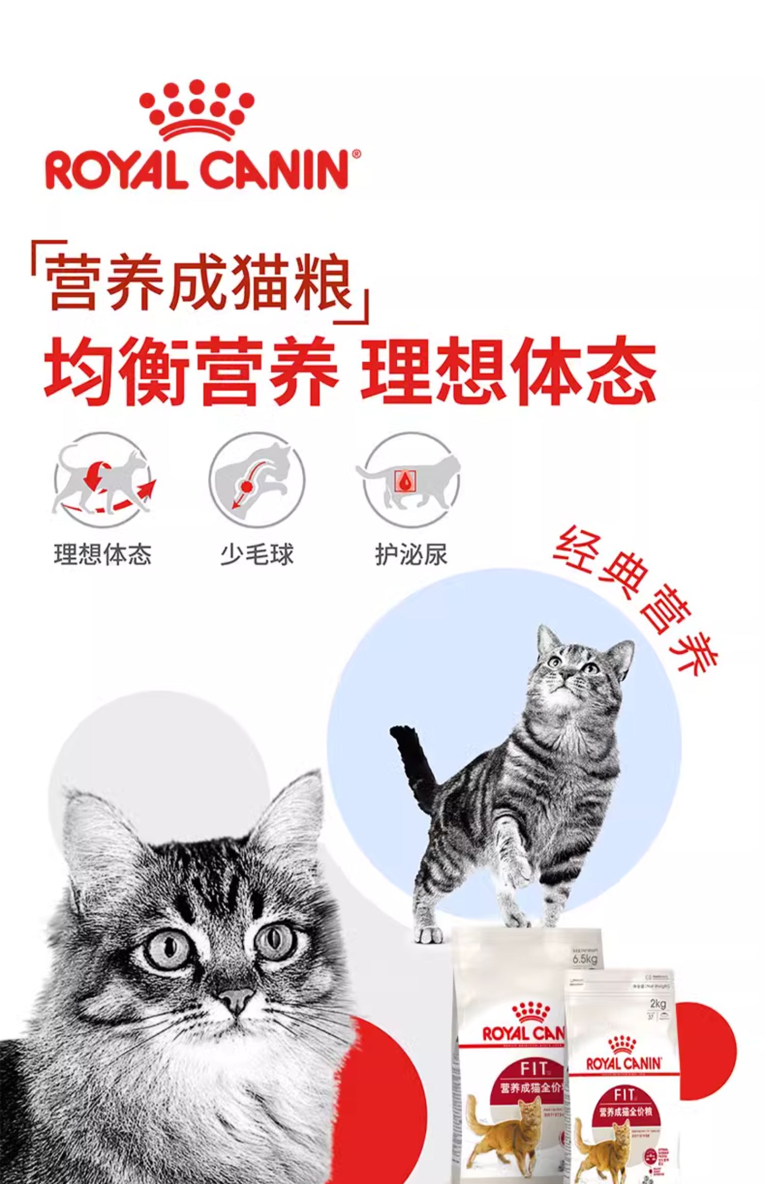 皇家营养成猫全价粮