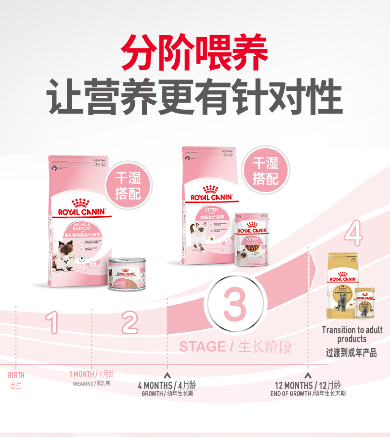 皇家猫粮 通用幼猫粮 奶糕粮 bk34/k36