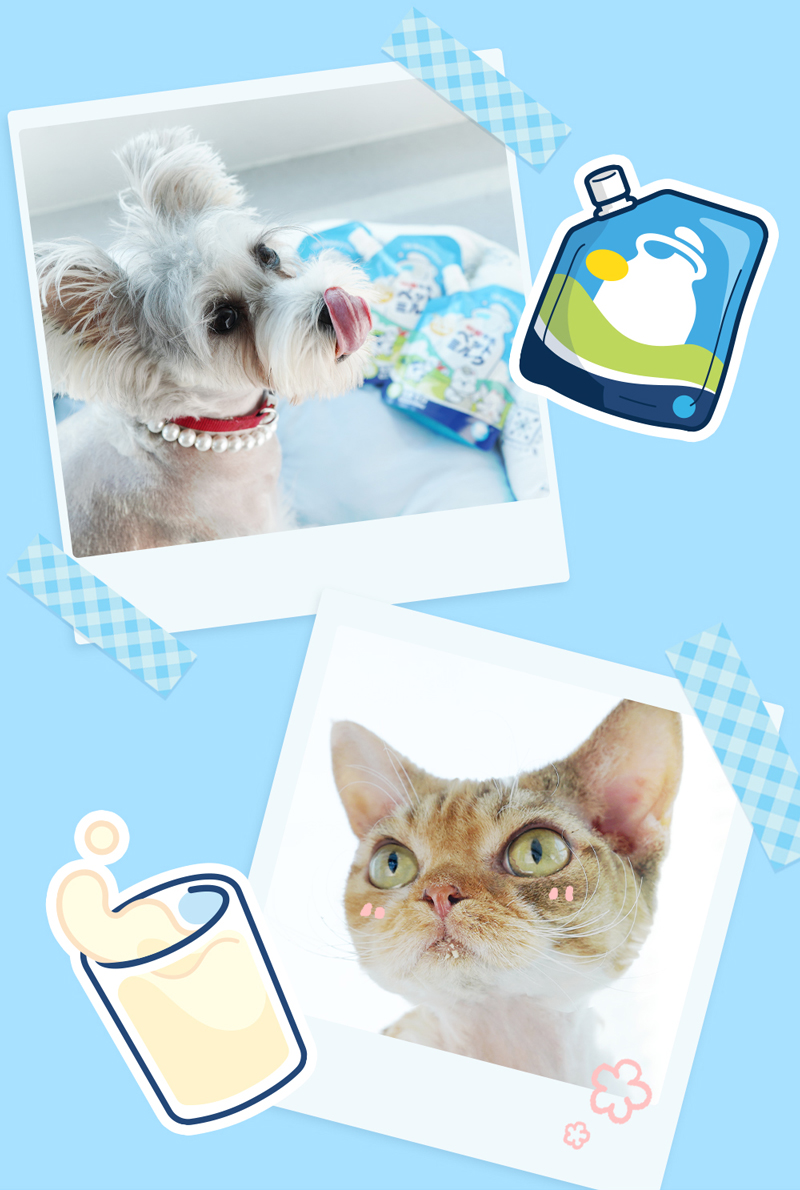 （犬猫零食）日本地狱厨房-每日特选鲜牛乳 200ml/包