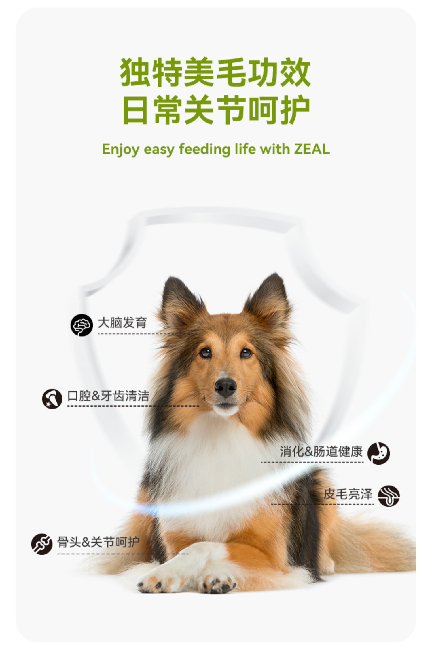 (正品带防伪)ZEAL全价无谷犬罐头