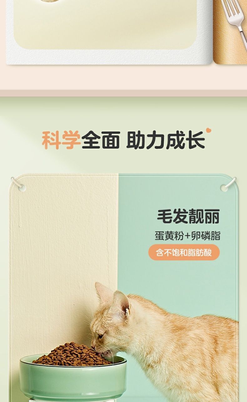 网易严选 宠爱相伴全价猫粮