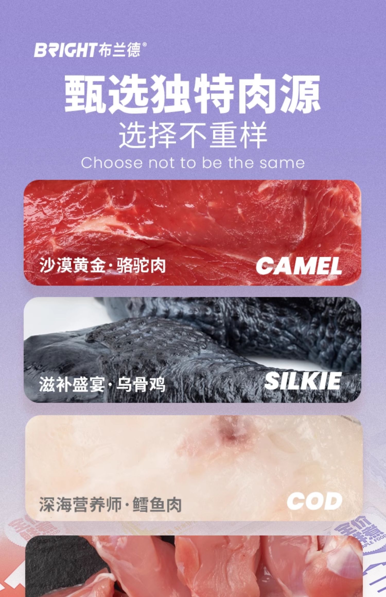 BRIGHT布兰德全价猫条