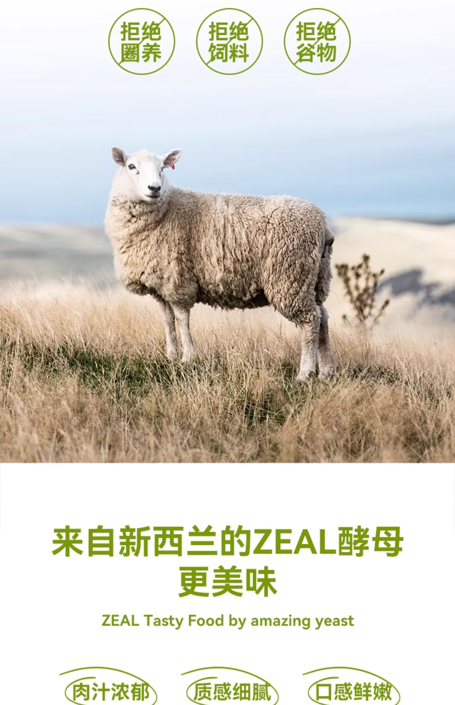 （正品带防伪）ZEAL全价无谷猫罐头