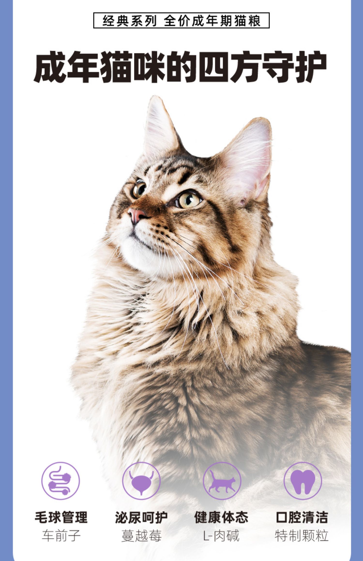 伯纳天纯 经典幼猫成猫全价猫粮