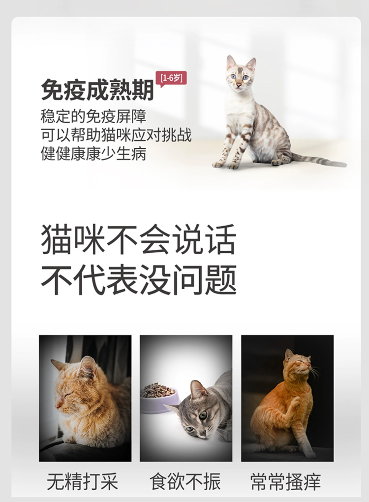 冠能 幼年期成年期全价猫粮