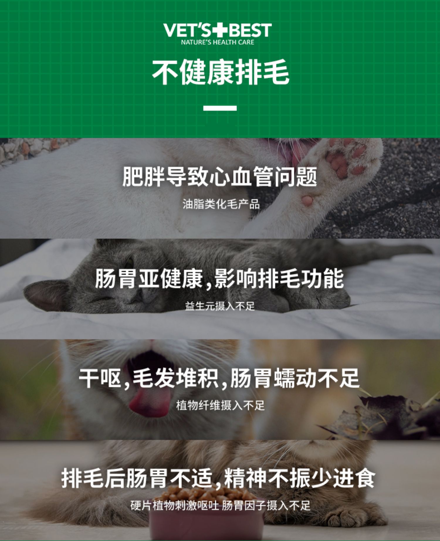 （正品带防伪）美国VetsBest 绿十字猫草片