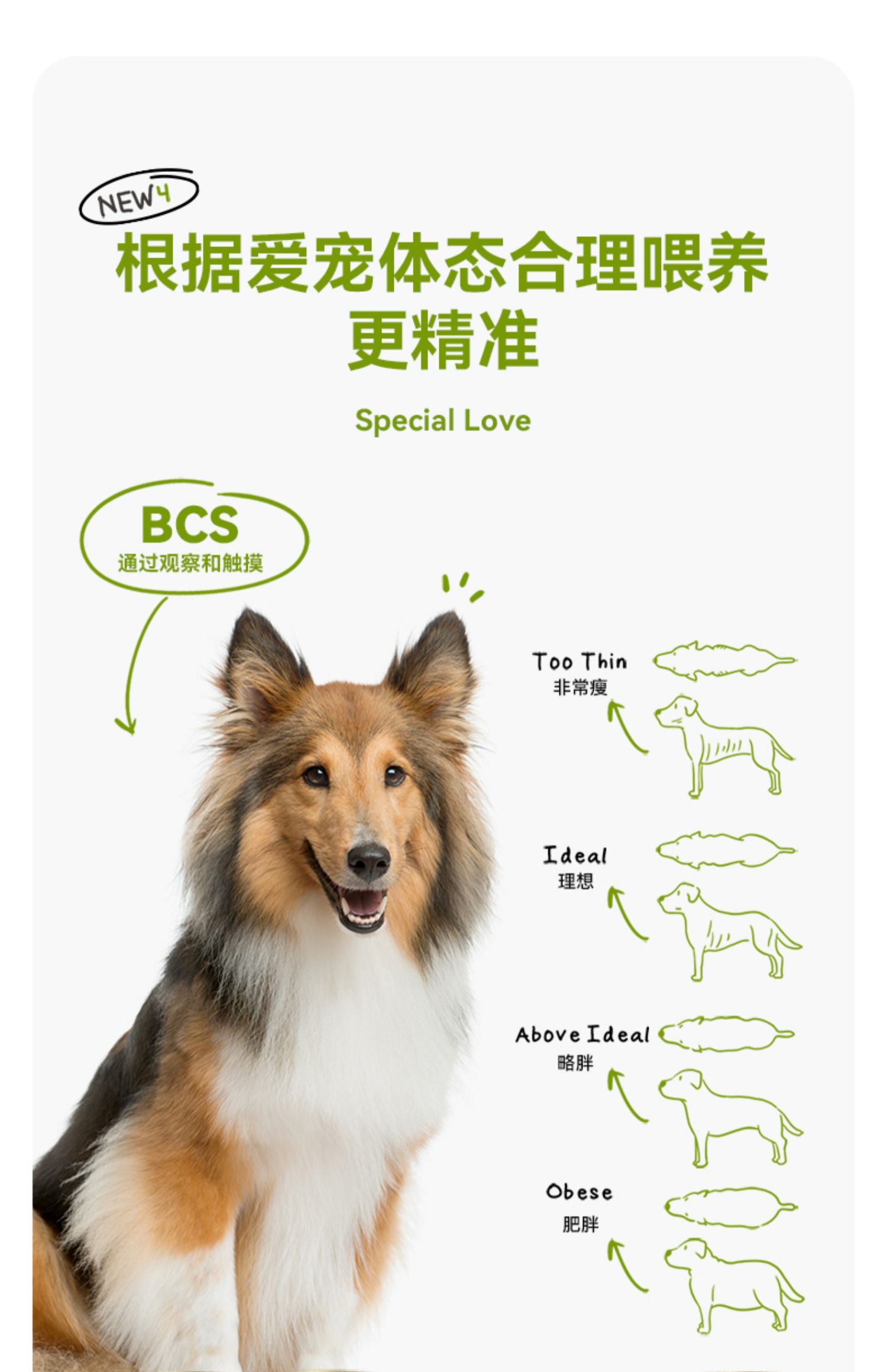 (正品带防伪)ZEAL全价无谷犬罐头