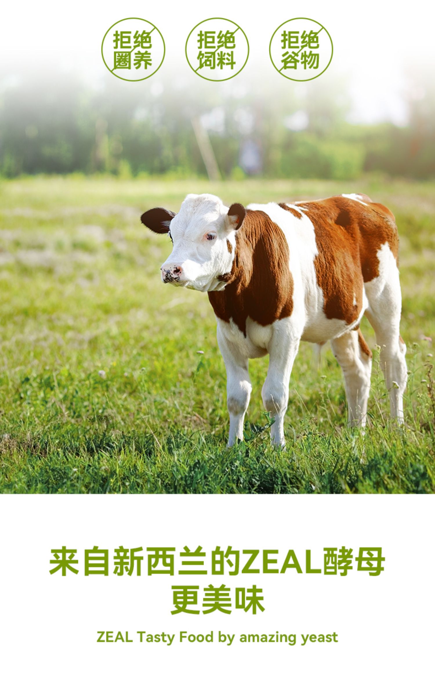 (正品带防伪)ZEAL全价无谷犬罐头