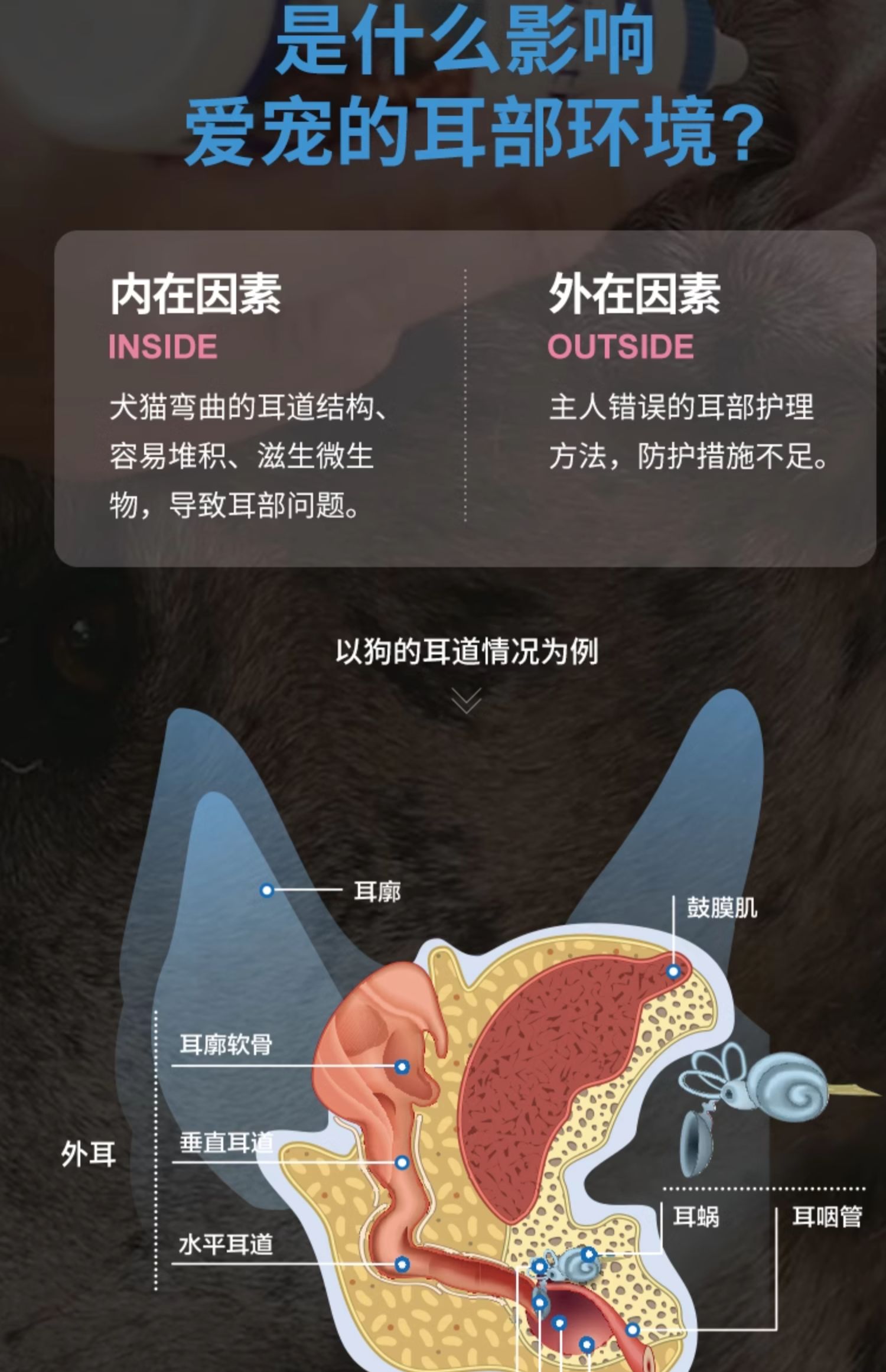 （正品带防伪）法国维克耳漂（犬猫通用）
