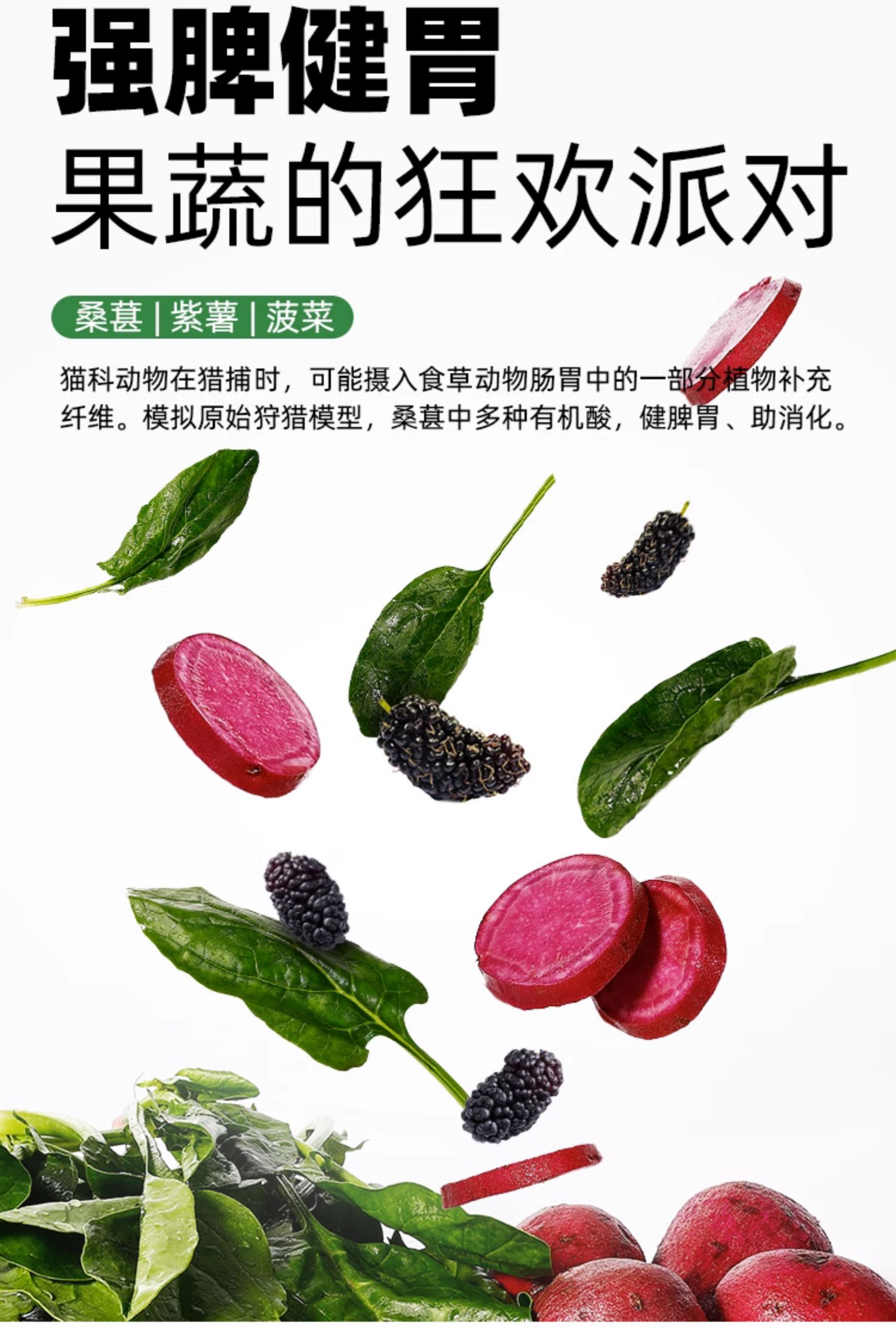 帕特诺尔 幼孕期猫粮  成年期猫粮