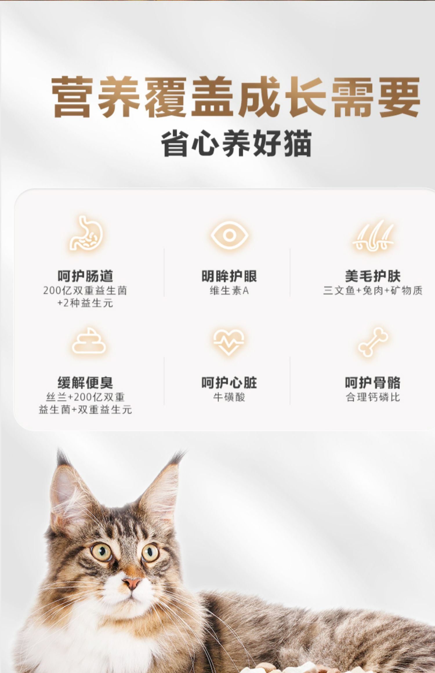 卫仕 五拼冻干全价全阶段猫粮