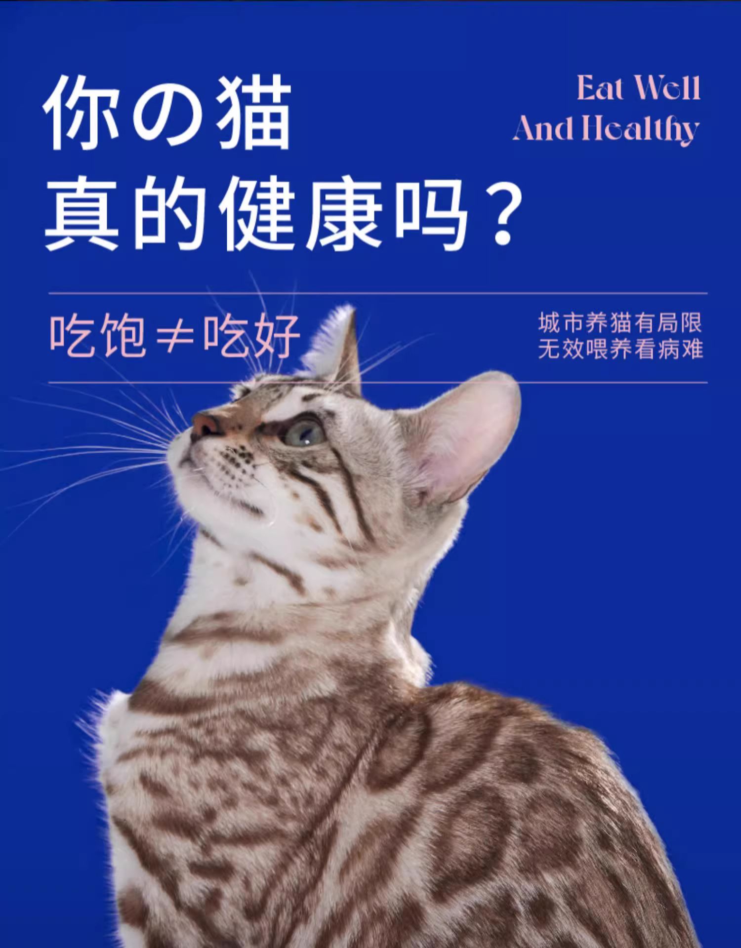 蓝氏 全价猫粮