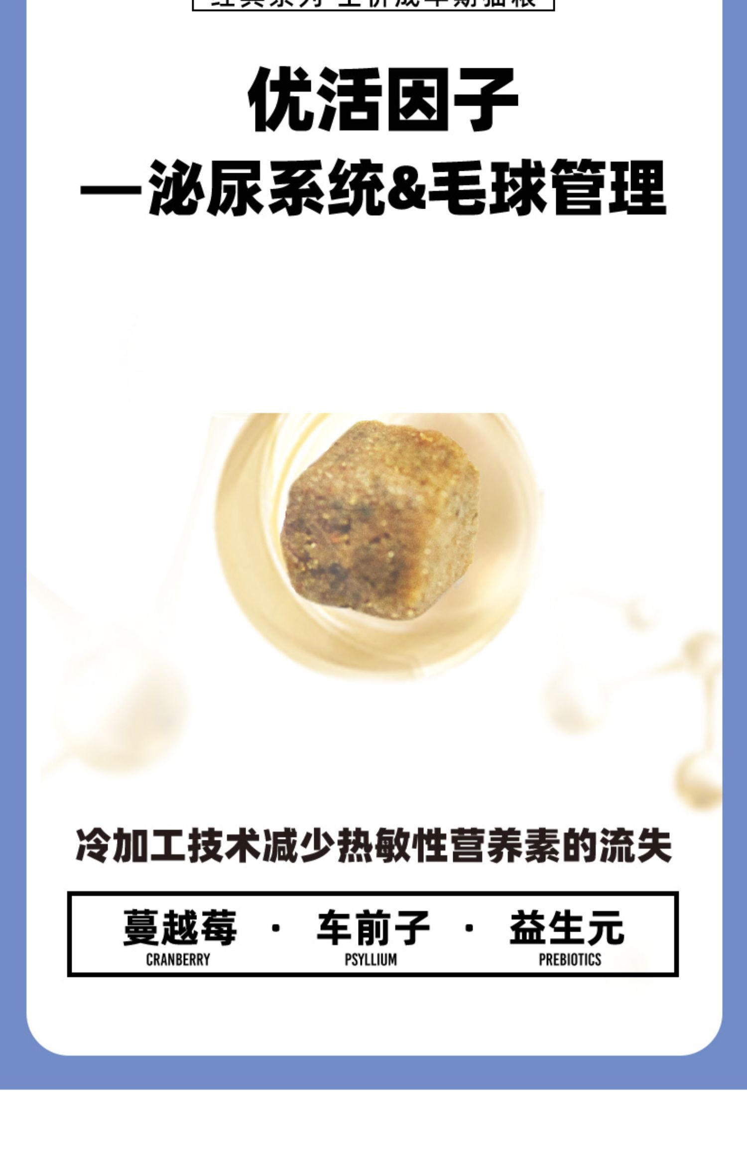 伯纳天纯 经典幼猫成猫全价猫粮