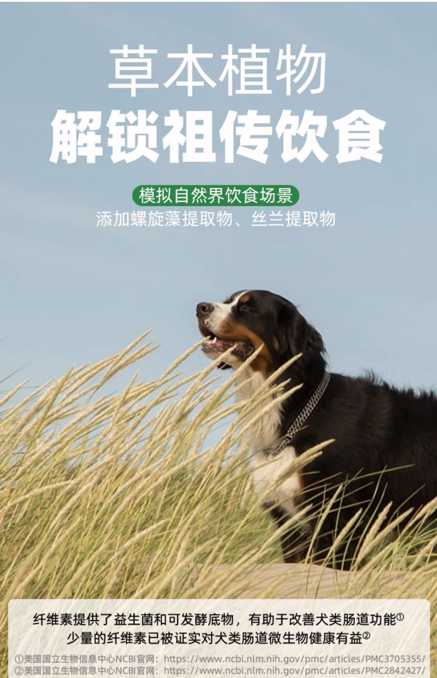 帕特诺尔 （果蔬）全价幼犬成犬粮