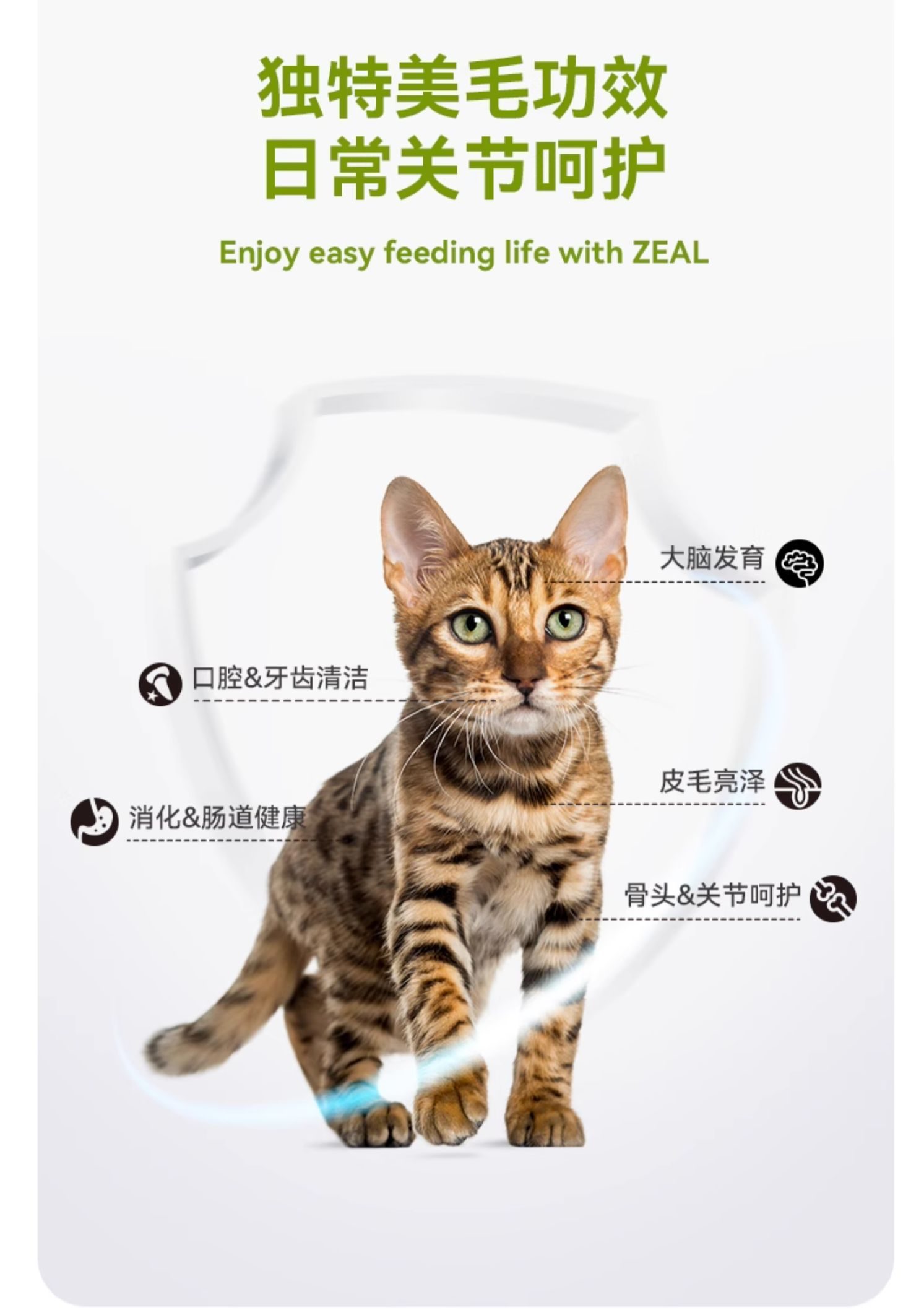 （正品带防伪）ZEAL全价无谷猫罐头
