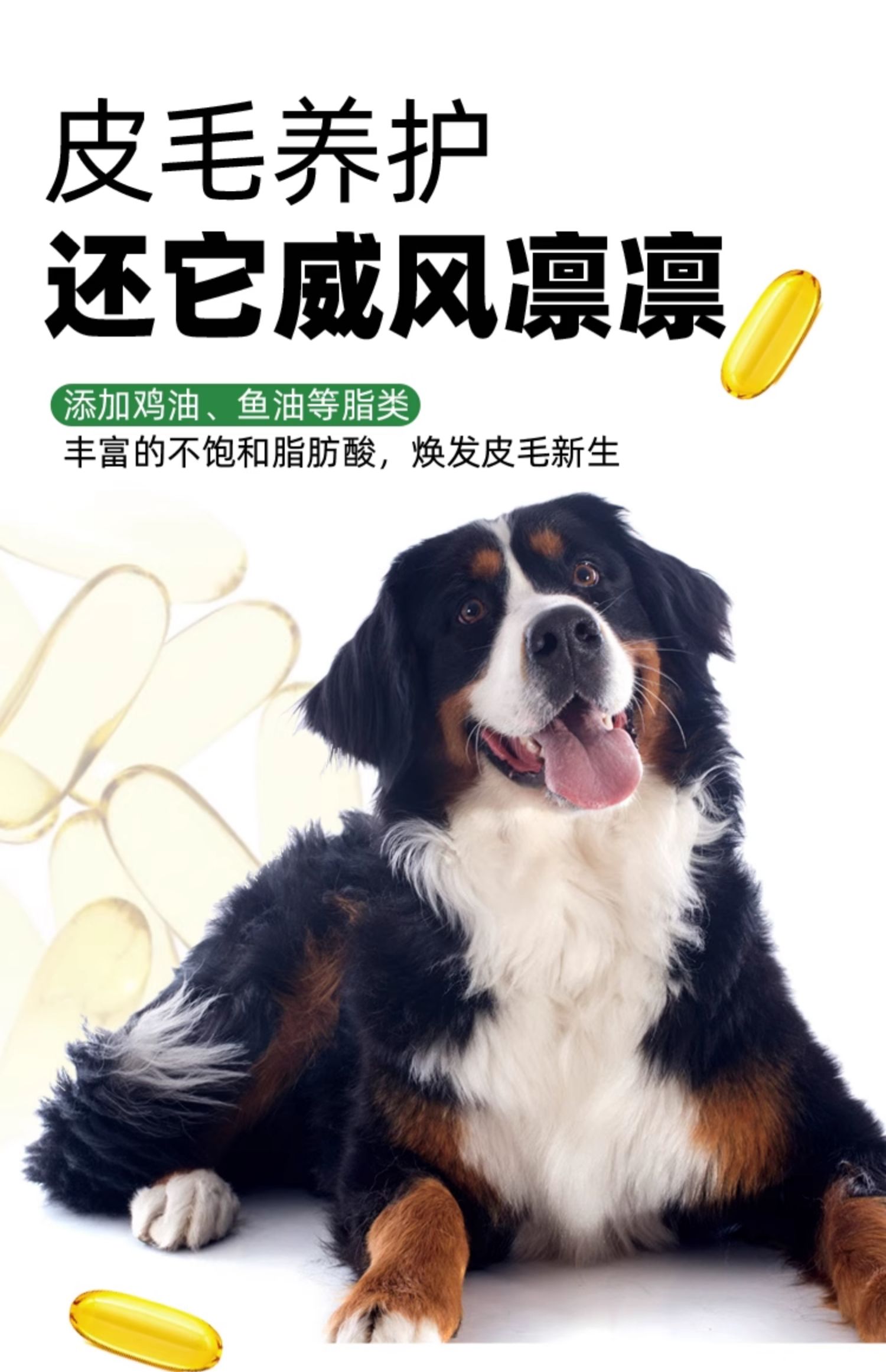 帕特诺尔 （果蔬）全价幼犬成犬粮