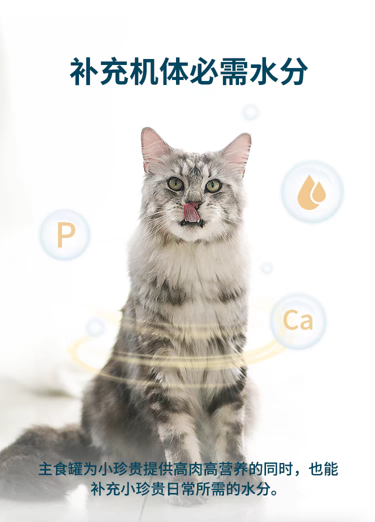 鲜朗 全价猫用主食罐