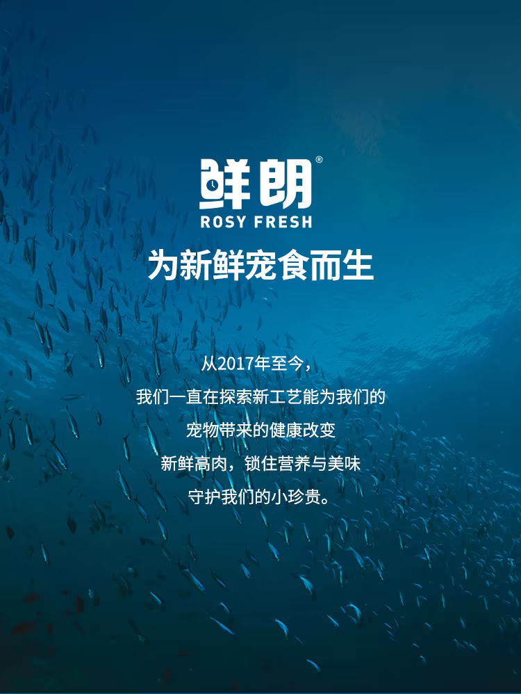 鲜朗 全价猫用主食罐