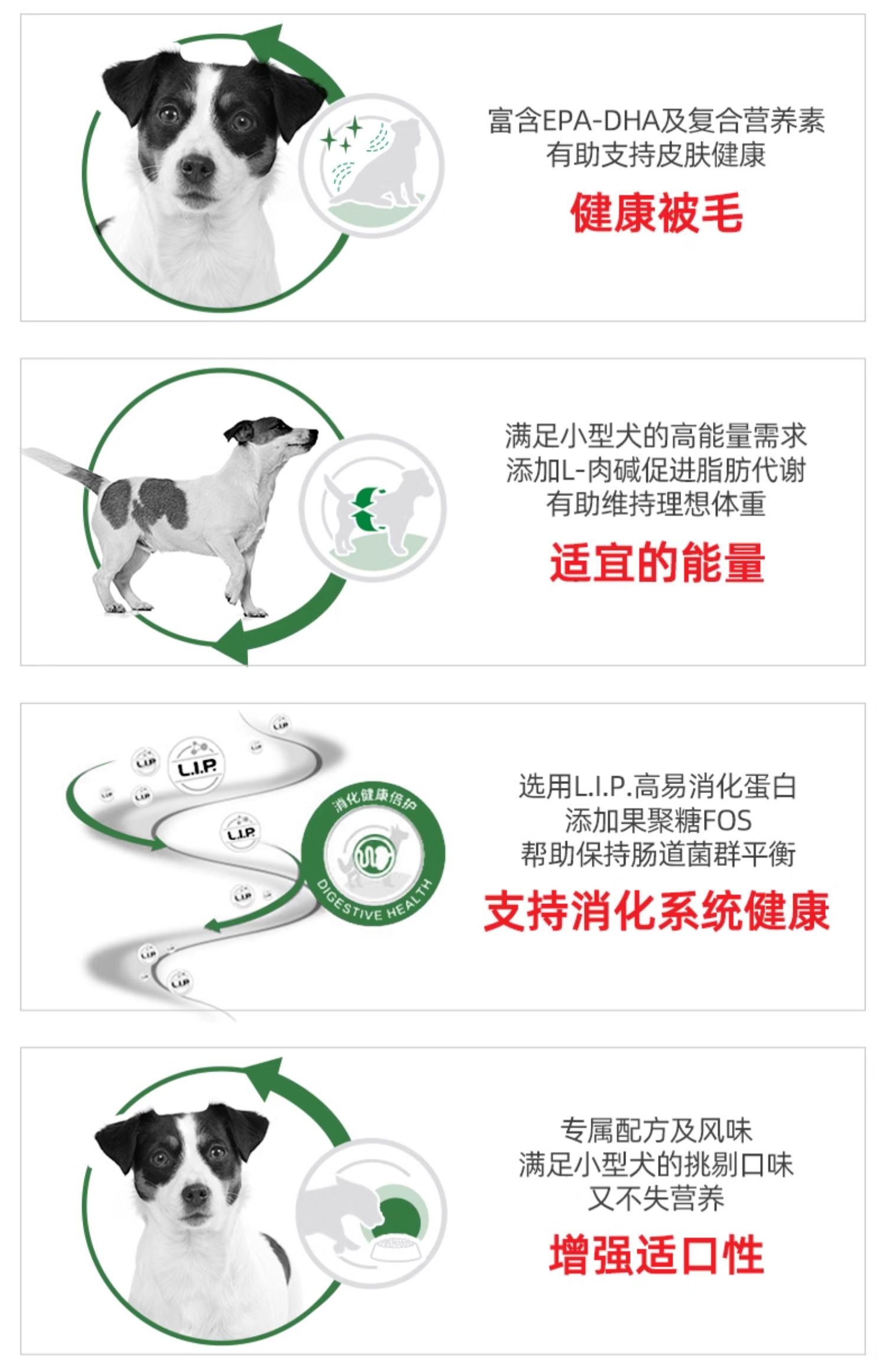 皇家 小型犬成犬全价粮2kg