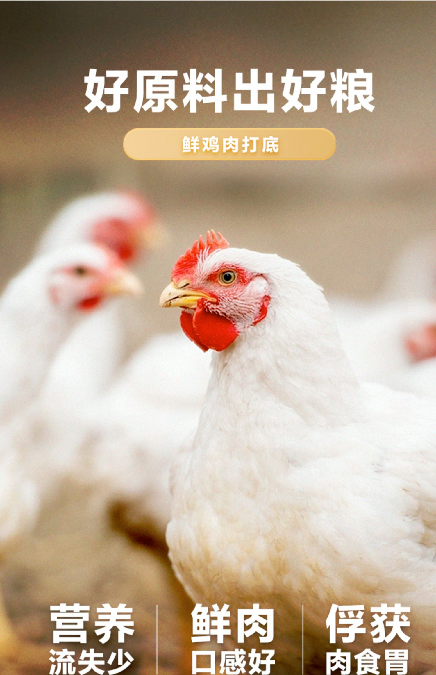 卫仕 五拼冻干全价全阶段猫粮