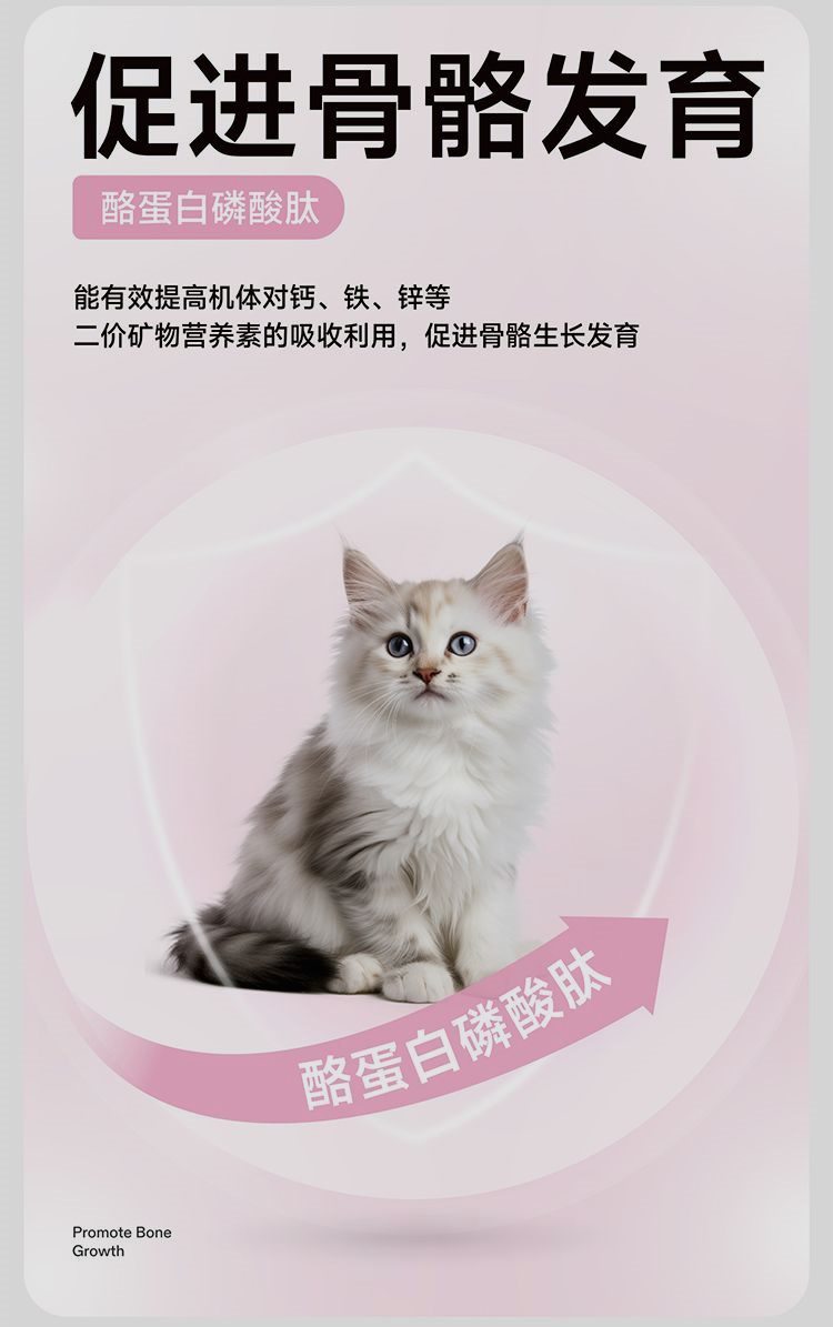 纯福 全价幼猫猫粮
