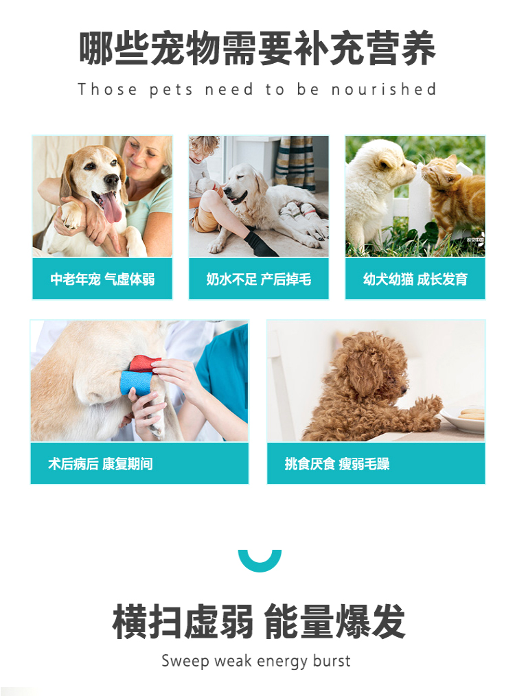 卫仕 营养膏 化毛膏