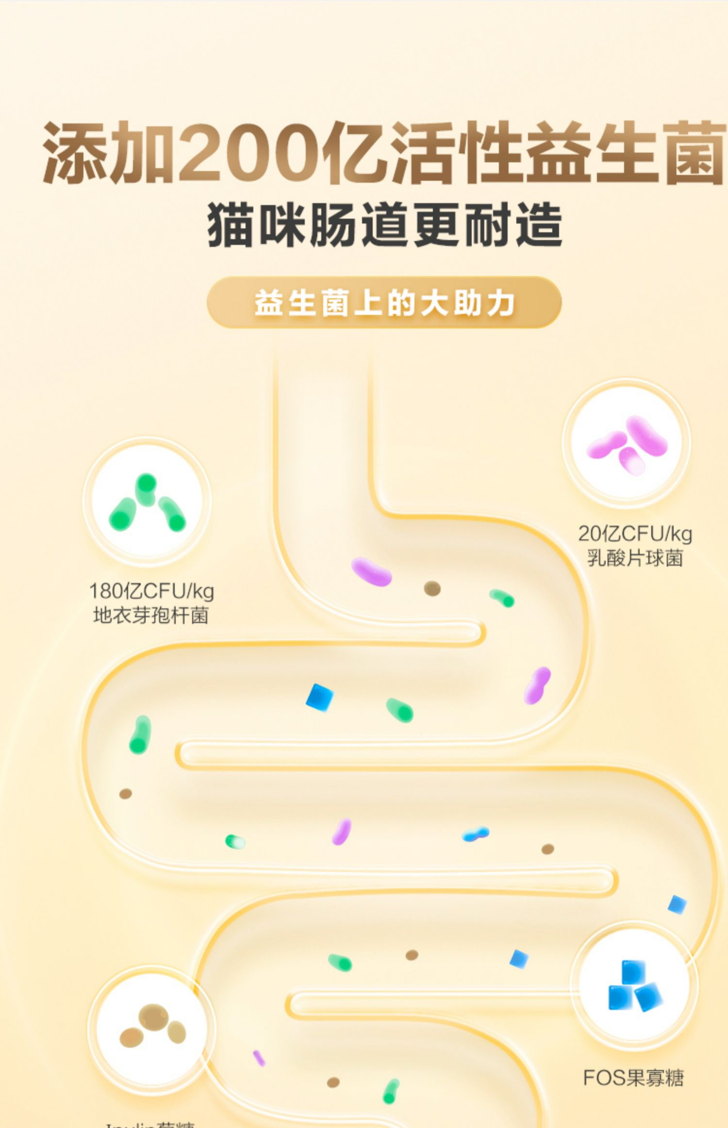 卫仕 五拼冻干全价全阶段猫粮