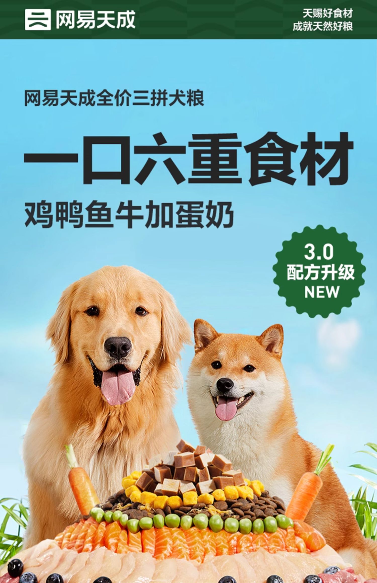 网易严选天成全价三拼犬粮