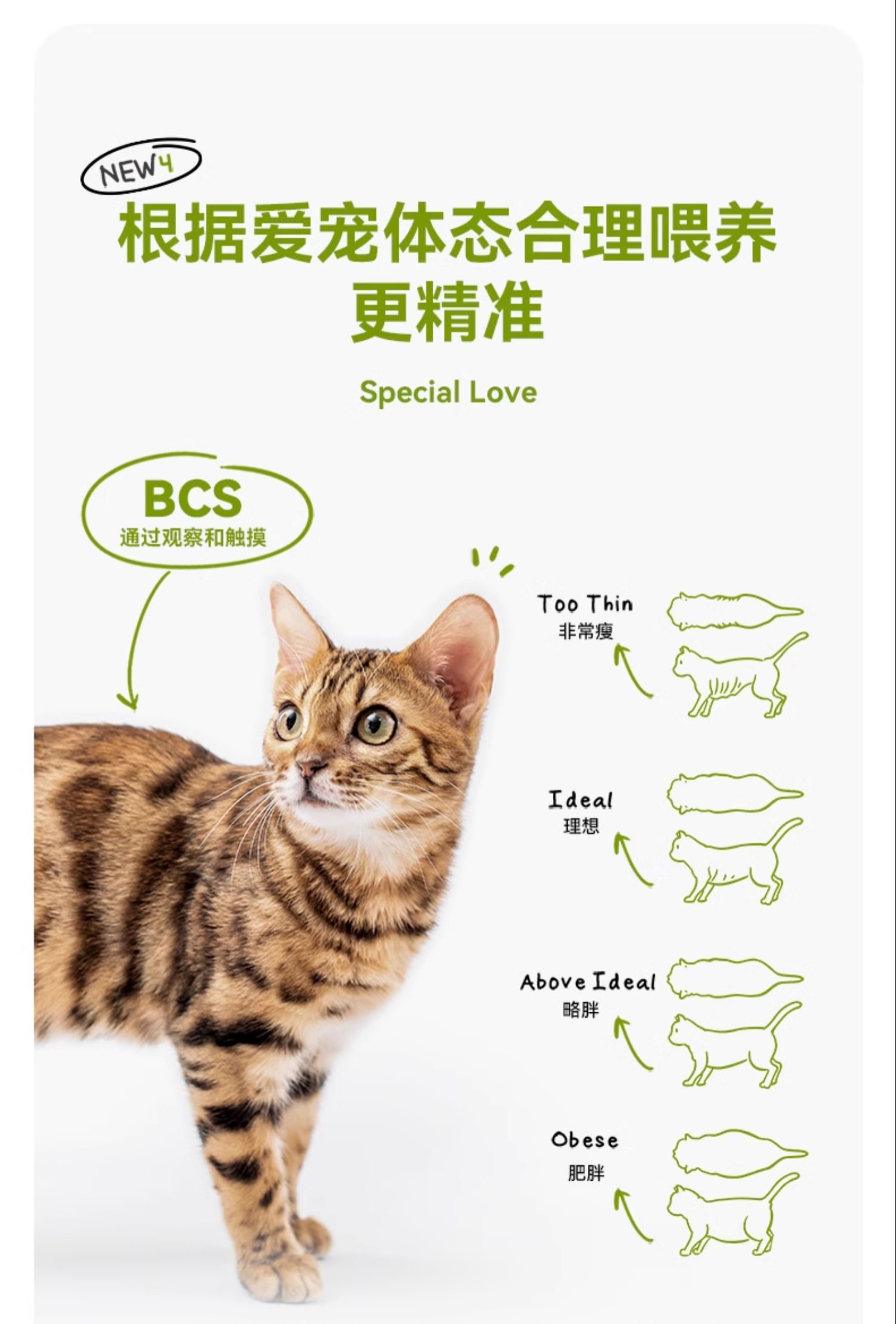 （正品带防伪）ZEAL全价无谷猫罐头