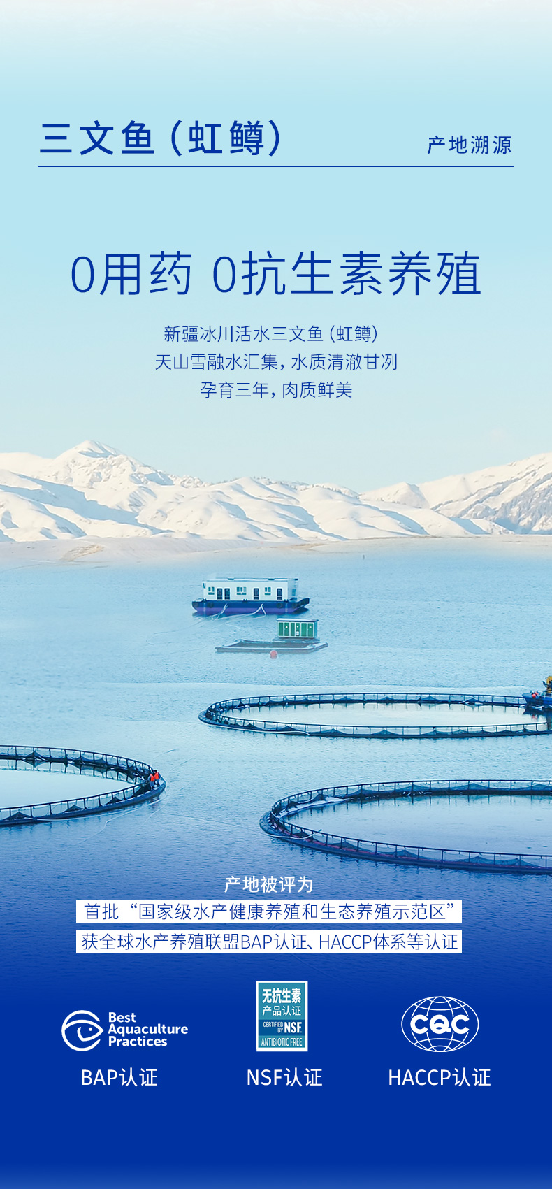 海洋之星鲜肉全价烘焙猫粮