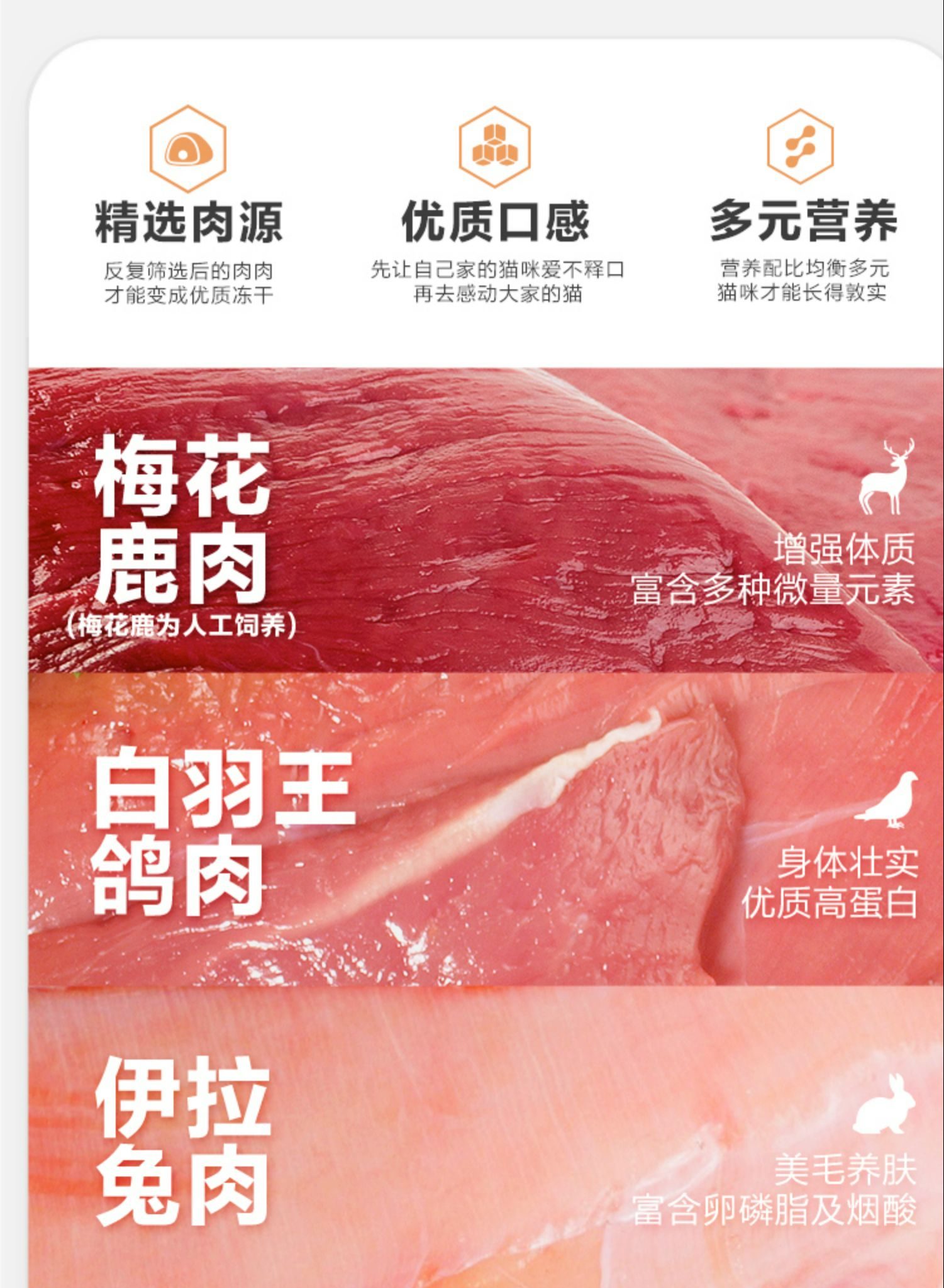 卫仕 五拼冻干全价全阶段猫粮