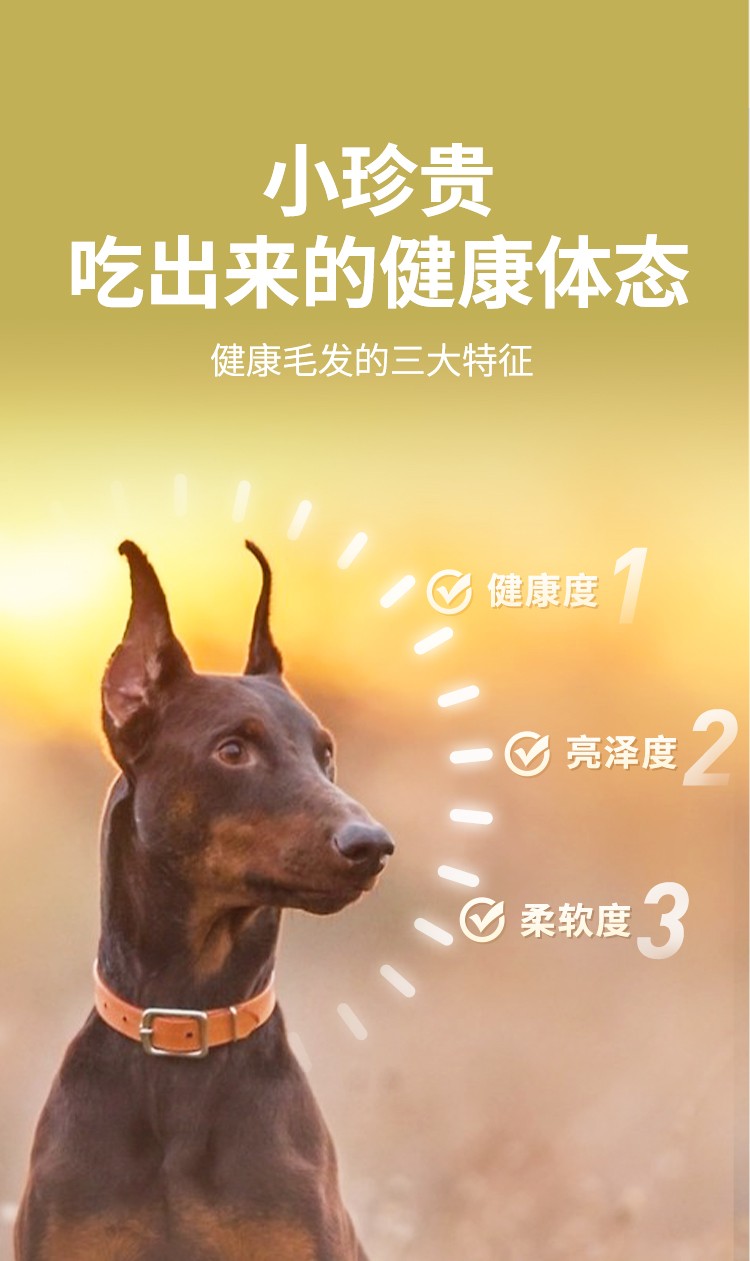 鲜朗 烘焙全期全价犬粮