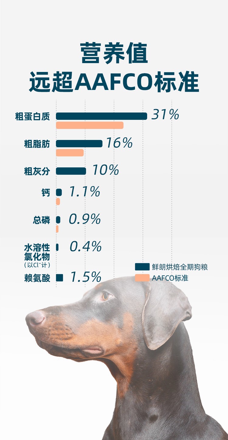 鲜朗 烘焙全期全价犬粮