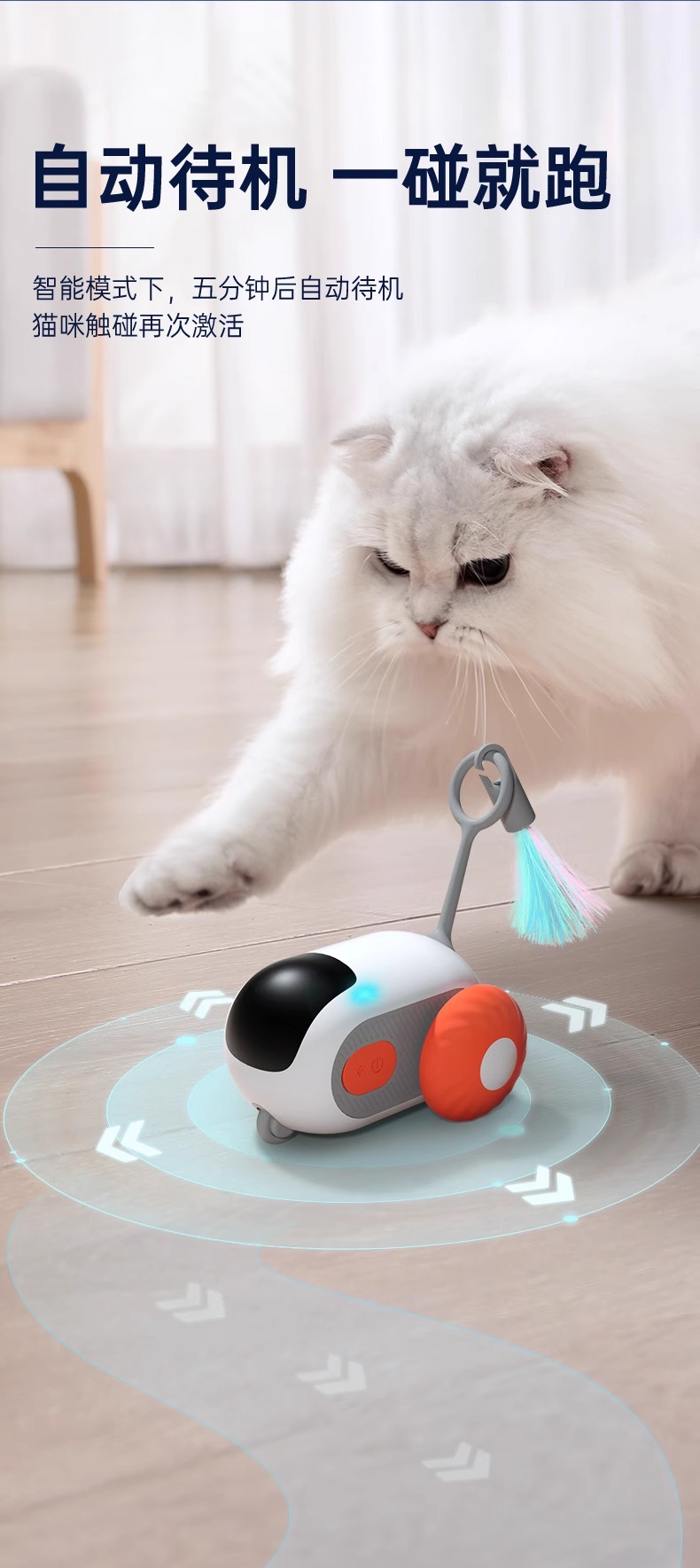 宠有引力遥控跑跑车