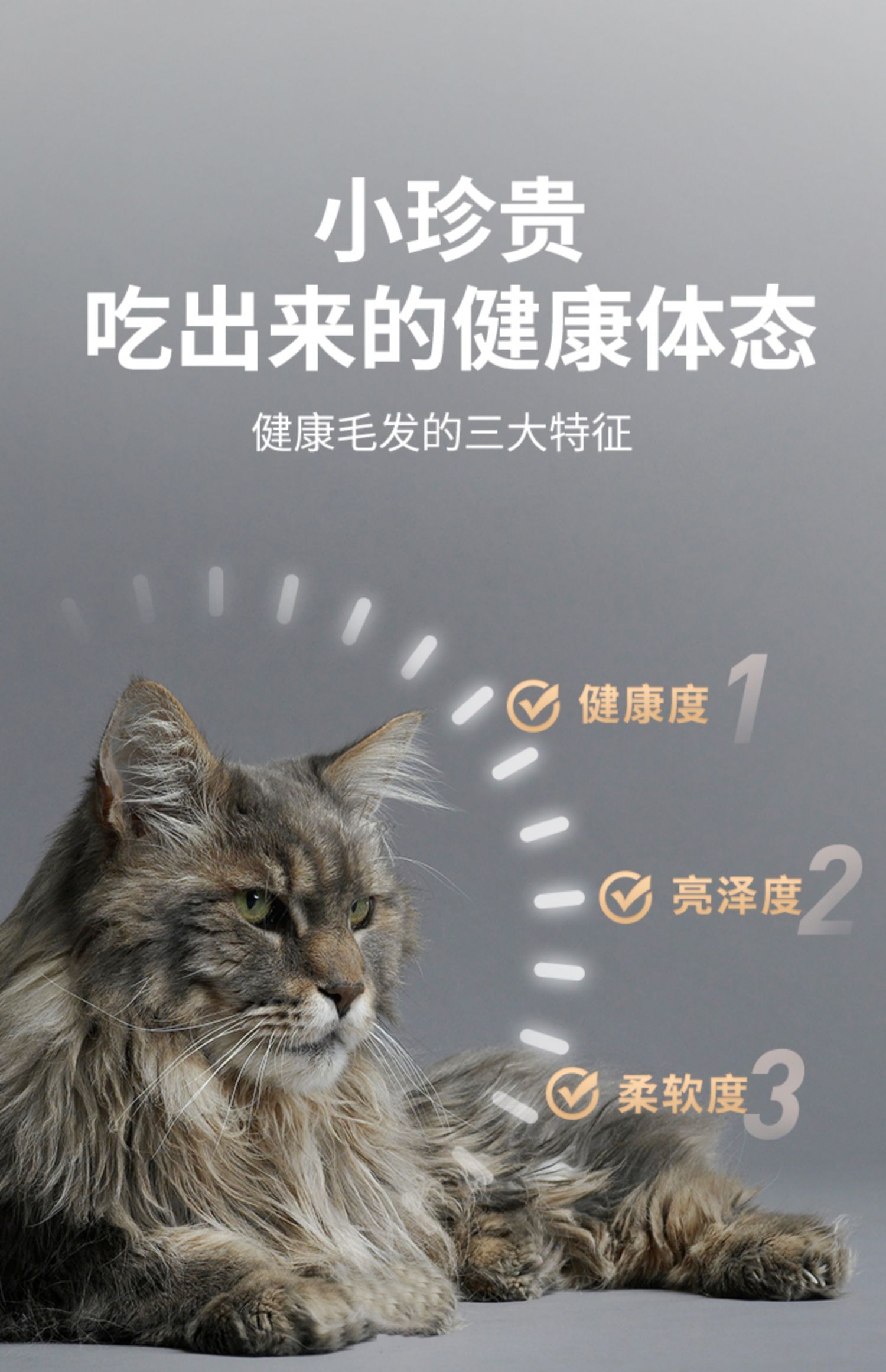 鲜朗 烘焙全期全价猫粮