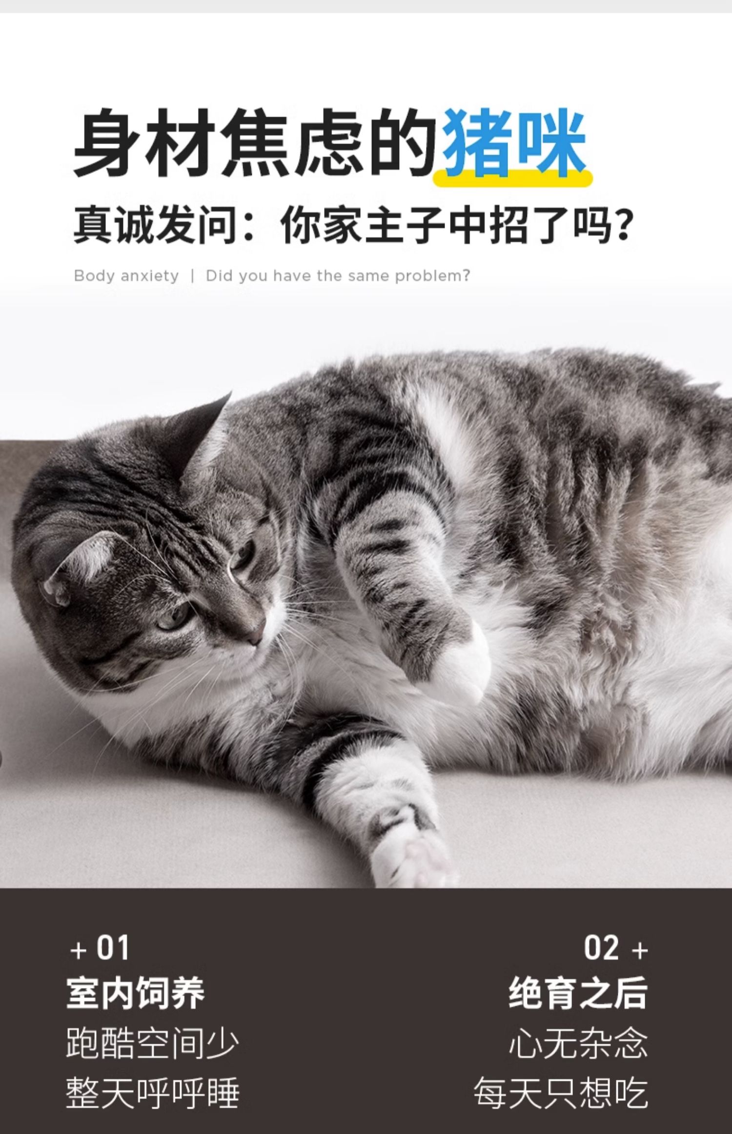 （正品带防伪）纽顿全价猫粮