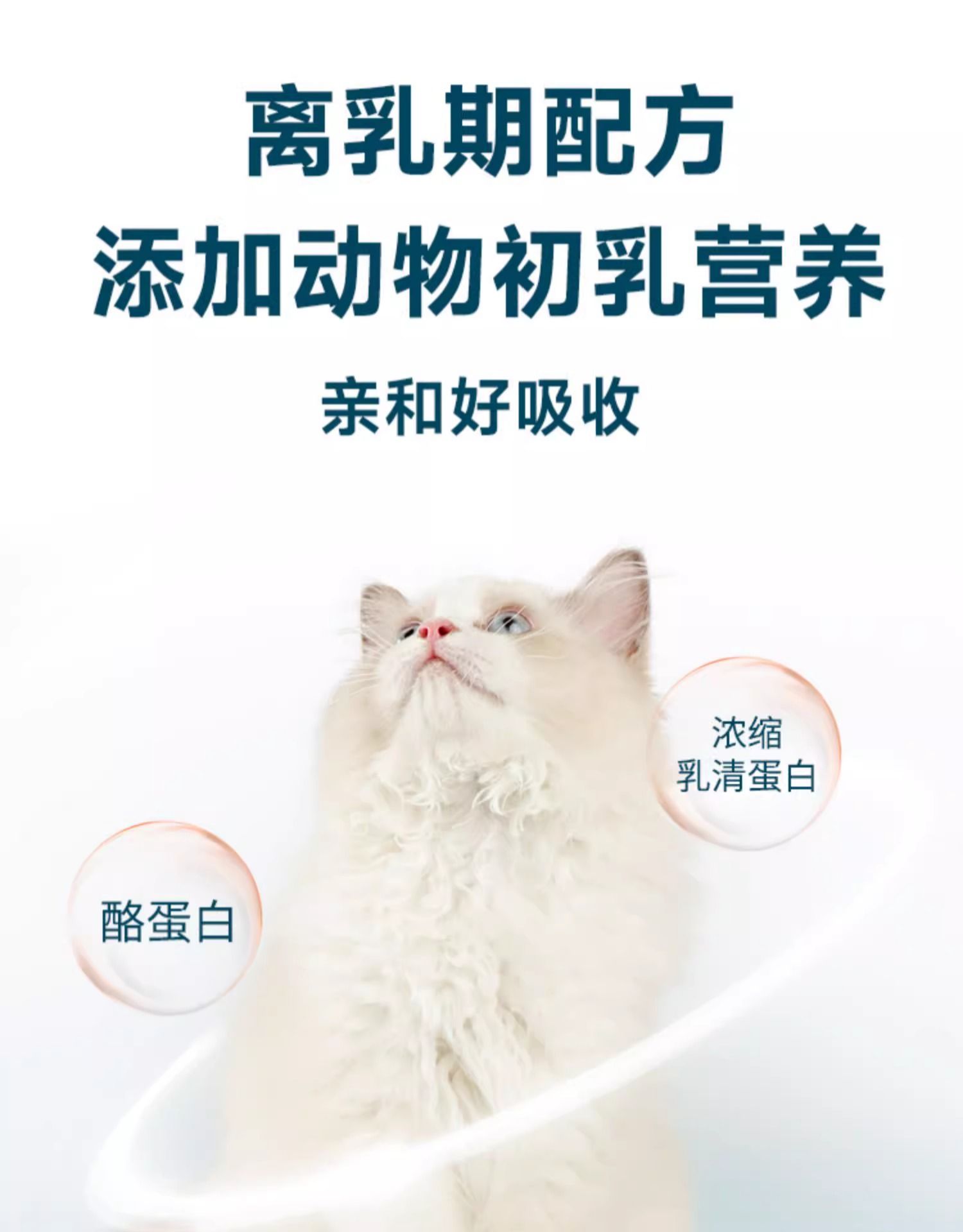 鲜朗 烘焙全价幼猫粮