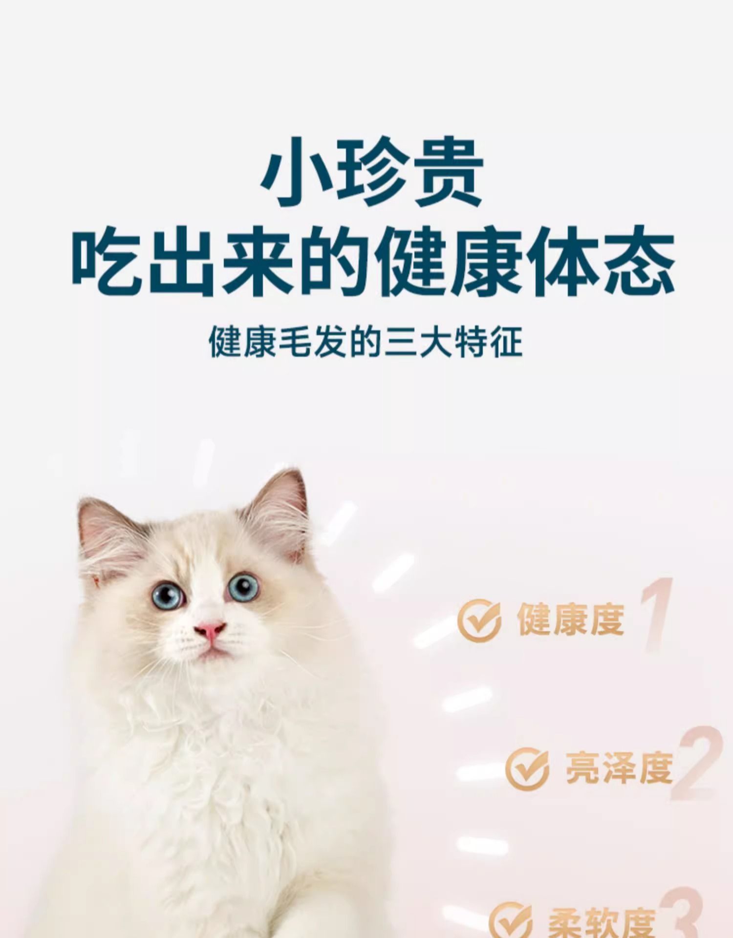 鲜朗 烘焙全价幼猫粮