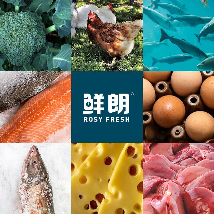 鲜朗 全价犬用主食罐