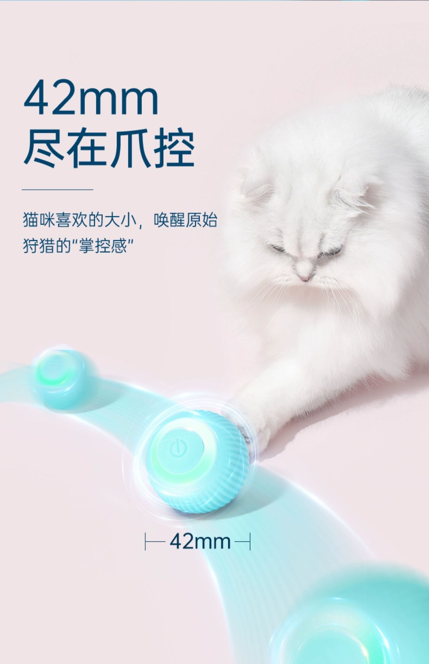 宠有引力滚滚球