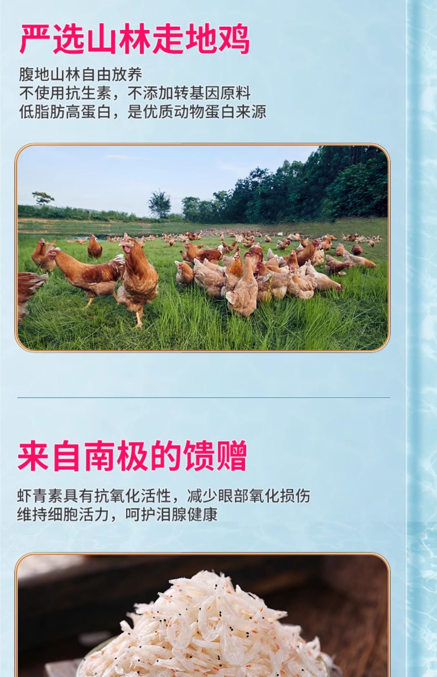 METZ 玫斯全价猫粮