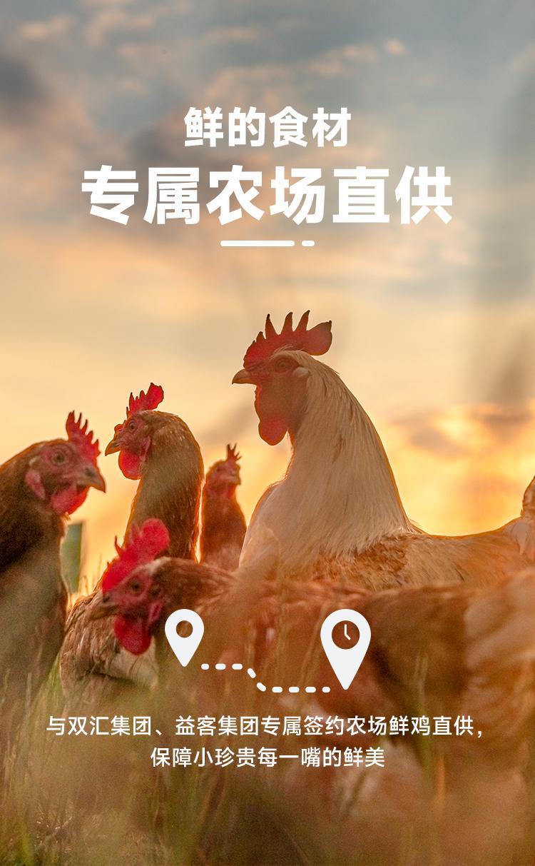 鲜朗 烘焙全价幼犬粮